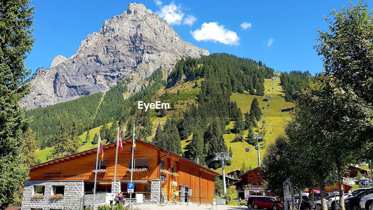 PANORAMIC SHOT OF PLANTS AGAINST MOUNTAIN RANGE