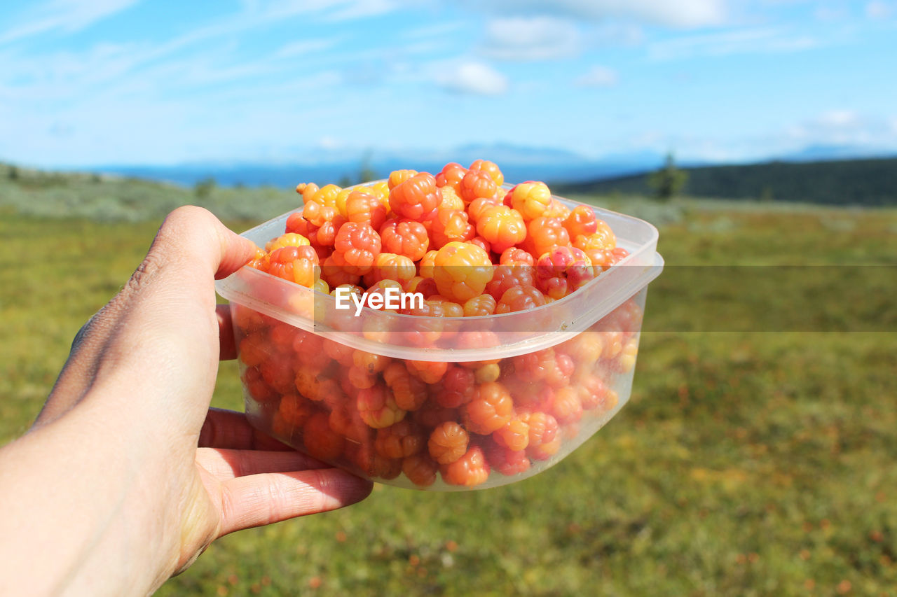 Cropped hand holding bowl with food over field against sky