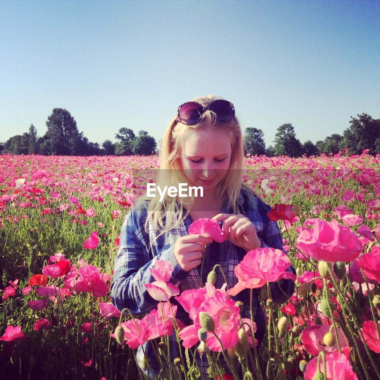 PORTRAIT OF SMILING WOMAN WITH PINK FLOWERS BLOOMING ON FIELD