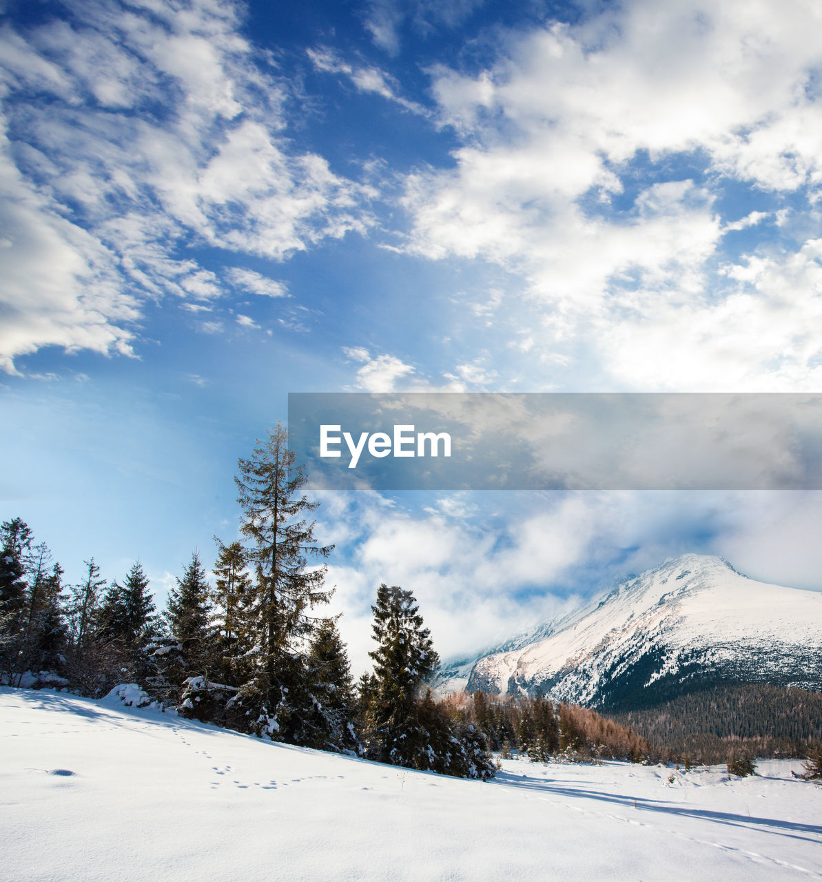 SCENIC VIEW OF SNOW COVERED LANDSCAPE AGAINST SKY