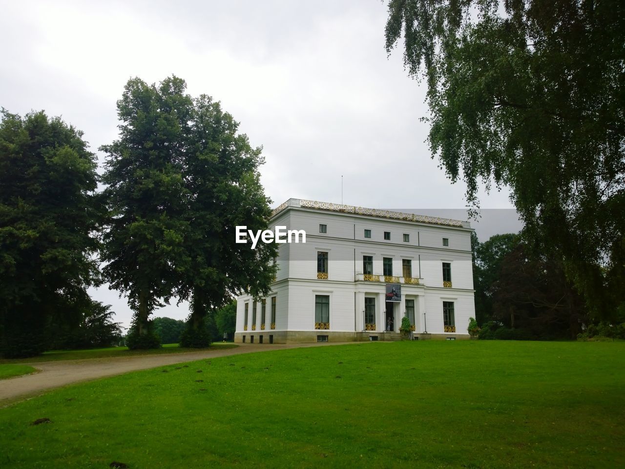 TREES ON GRASSY LAWN