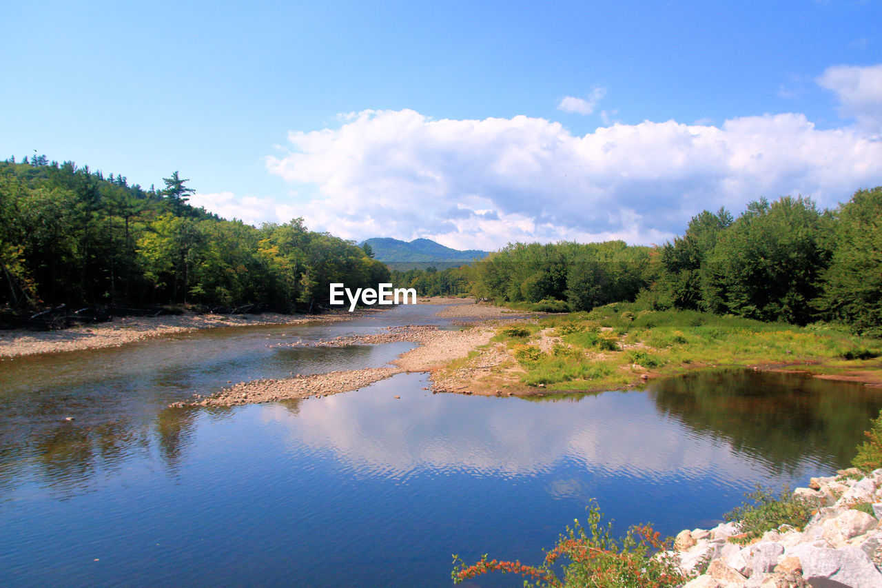 SCENIC VIEW OF LAKE AMIDST TREES AGAINST SKY