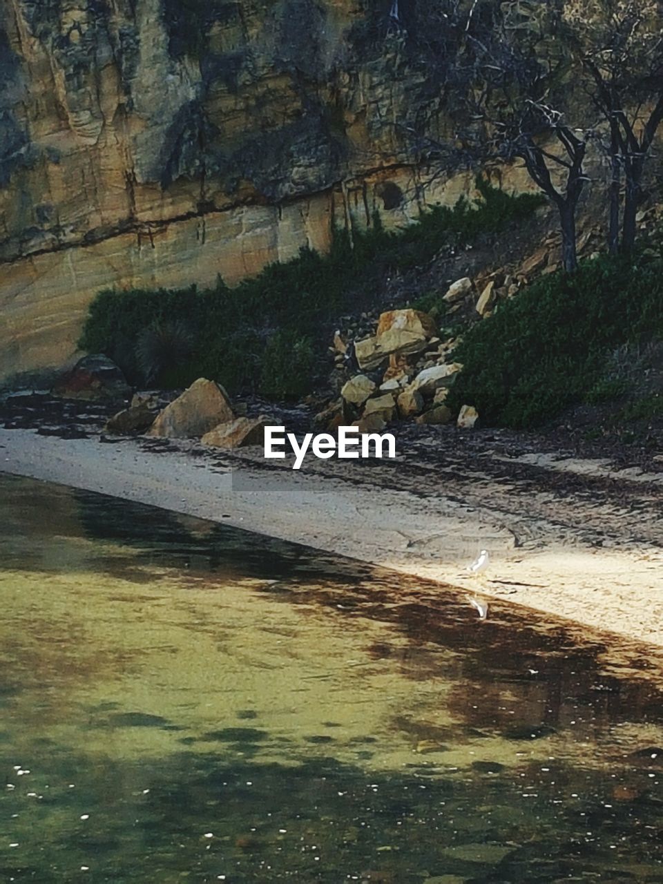 SCENIC VIEW OF RIVER WITH TREES IN BACKGROUND