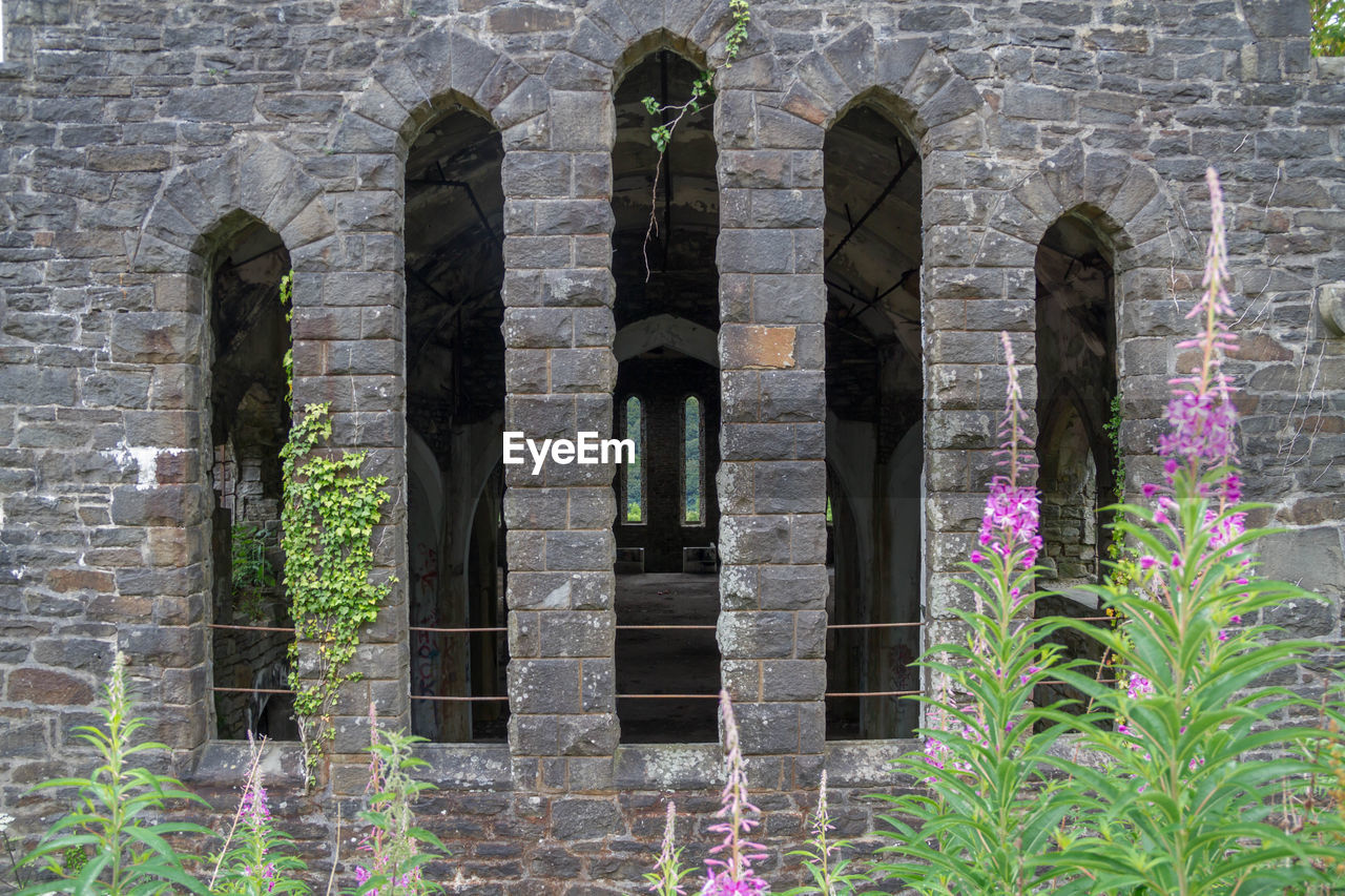 Flowering plants against historic building