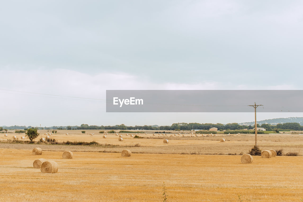 Hay bales on field against sky