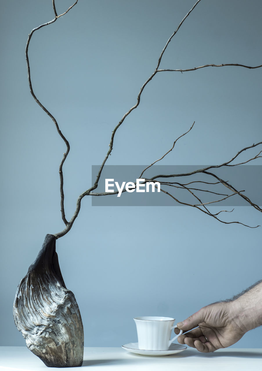A tree branch in a designer wooden vase and a man's hand with a cup of coffee