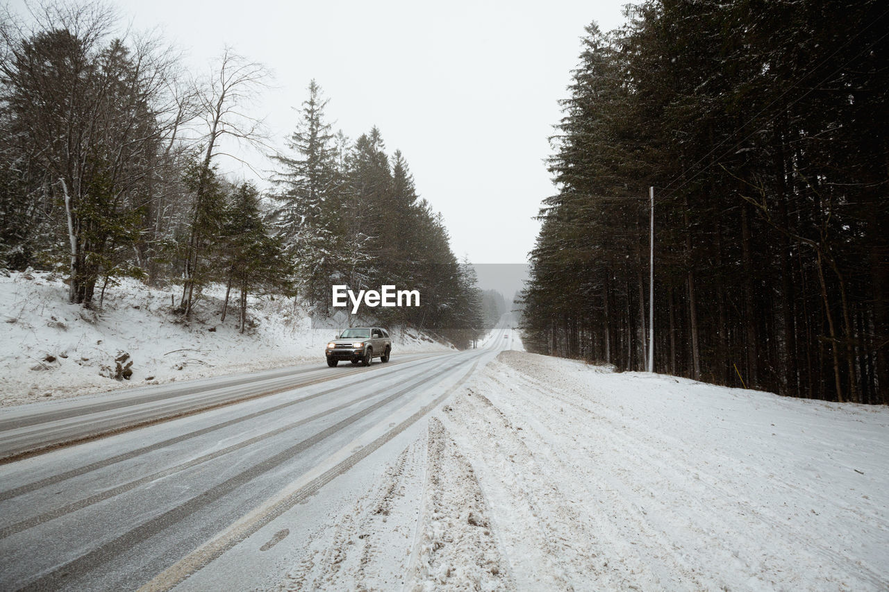 CARS ON ROAD AMIDST TREES DURING WINTER