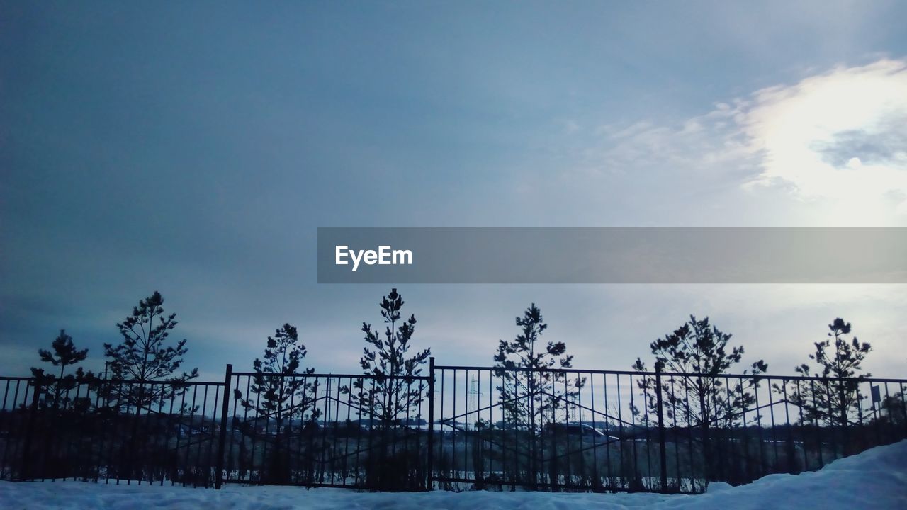 SNOW ON TREES AGAINST SKY