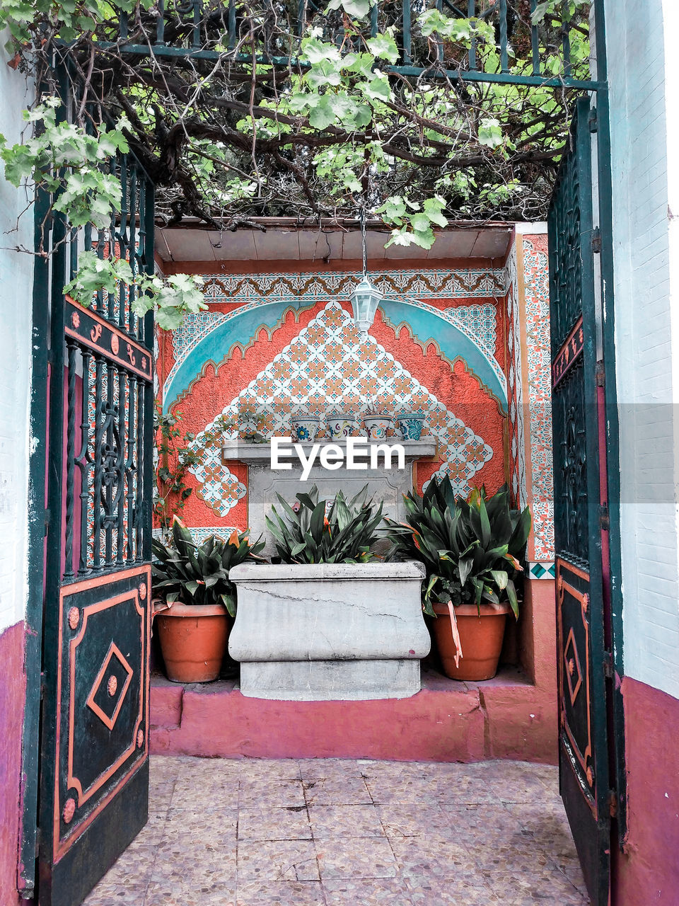 POTTED PLANTS OUTSIDE HOUSE