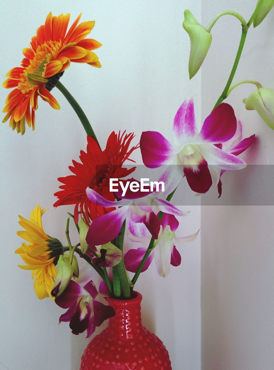 Variety of flowers in vase in corner of house