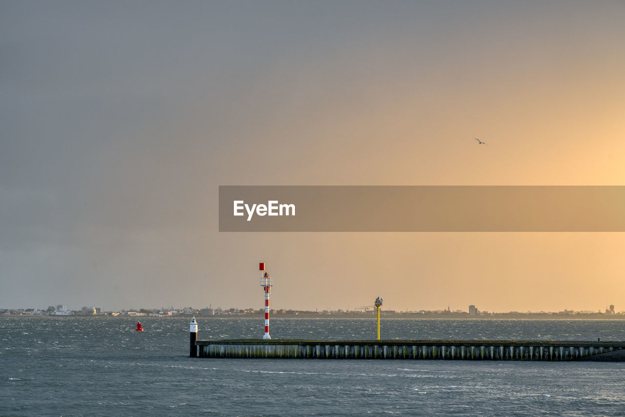 Birds flying over sea against sky