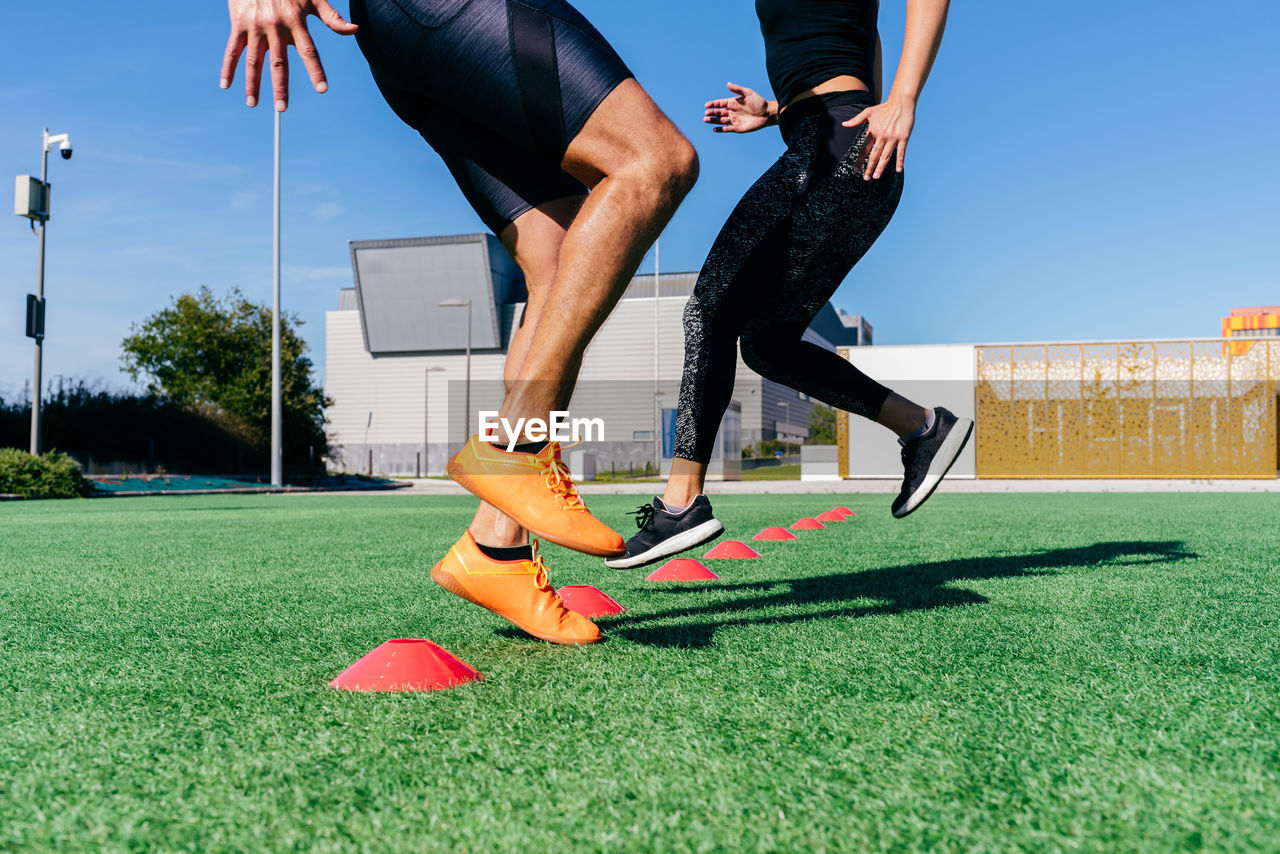 Crop sporty man and woman doing lunges while exercising with agility ladder on green grassy lawn on sports ground