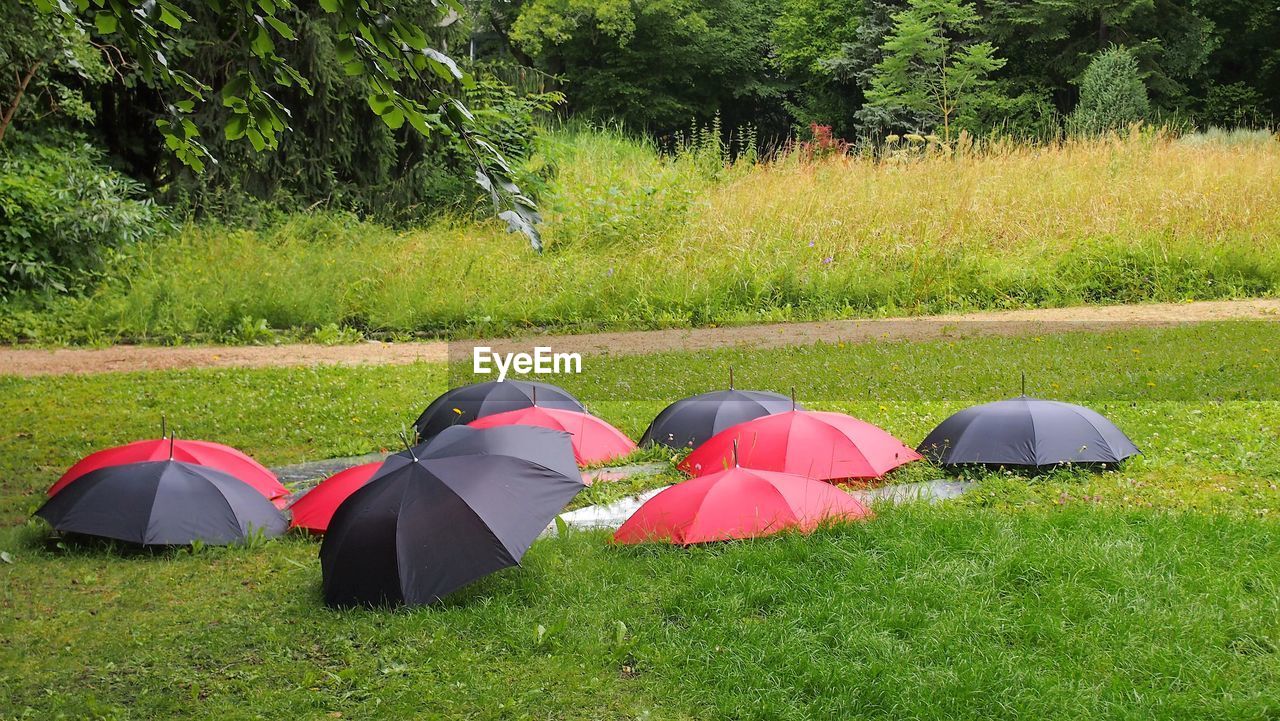 VIEW OF TENT IN PARK