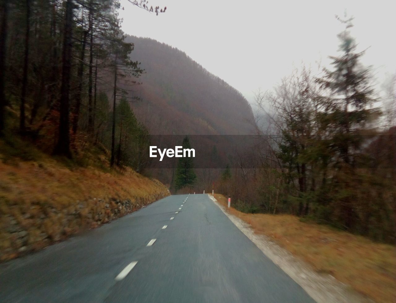 ROAD AMIDST TREES AGAINST MOUNTAIN