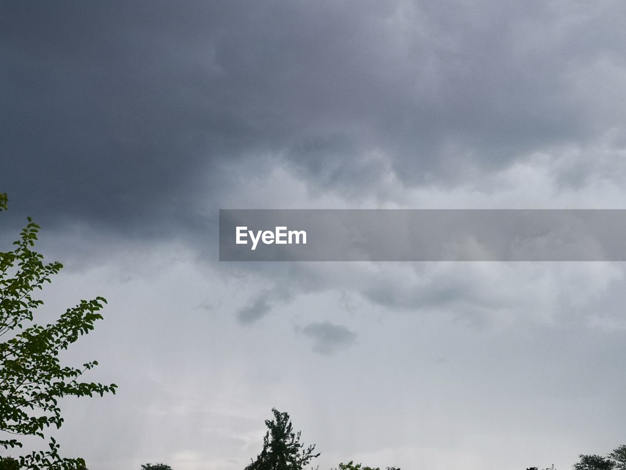 sky, cloud, tree, plant, nature, beauty in nature, environment, storm, no people, storm cloud, dramatic sky, outdoors, low angle view, thunderstorm, overcast, cloudscape, scenics - nature, rain, day, treetop, forest