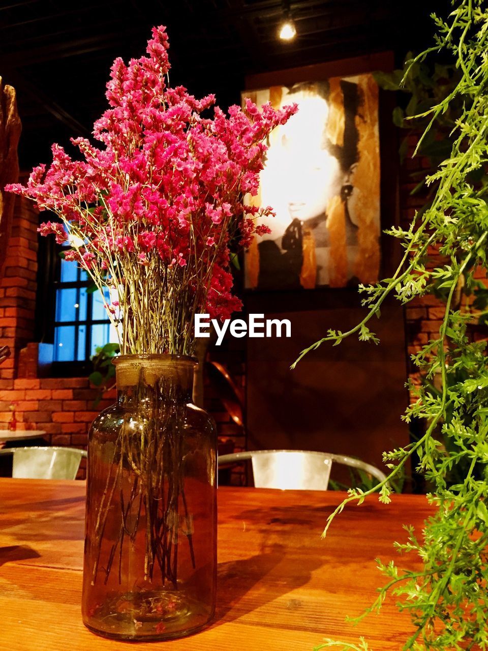 POTTED PLANTS ON TABLE