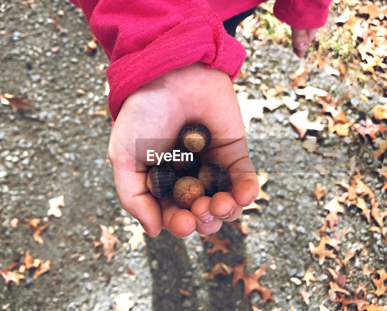High angle view of hand holding food