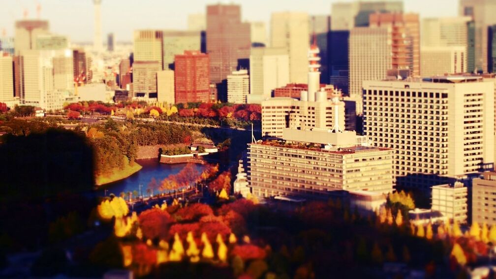 Scenic cityscape in autumn