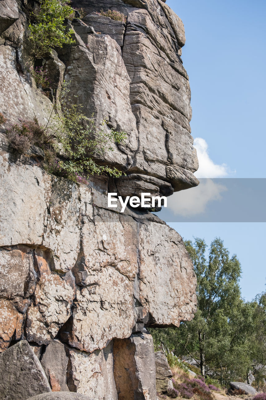 rock, nature, sky, plant, tree, rock formation, cliff, geology, no people, land, day, outdoors, scenics - nature, low angle view, non-urban scene, adventure, beauty in nature, landscape, terrain, travel destinations, ancient history, mountain, environment, wall, bedrock, travel, outcrop, tranquility, ruins, physical geography, boulder, architecture, formation, eroded, history, cloud