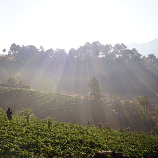 SCENIC VIEW OF MOUNTAINS