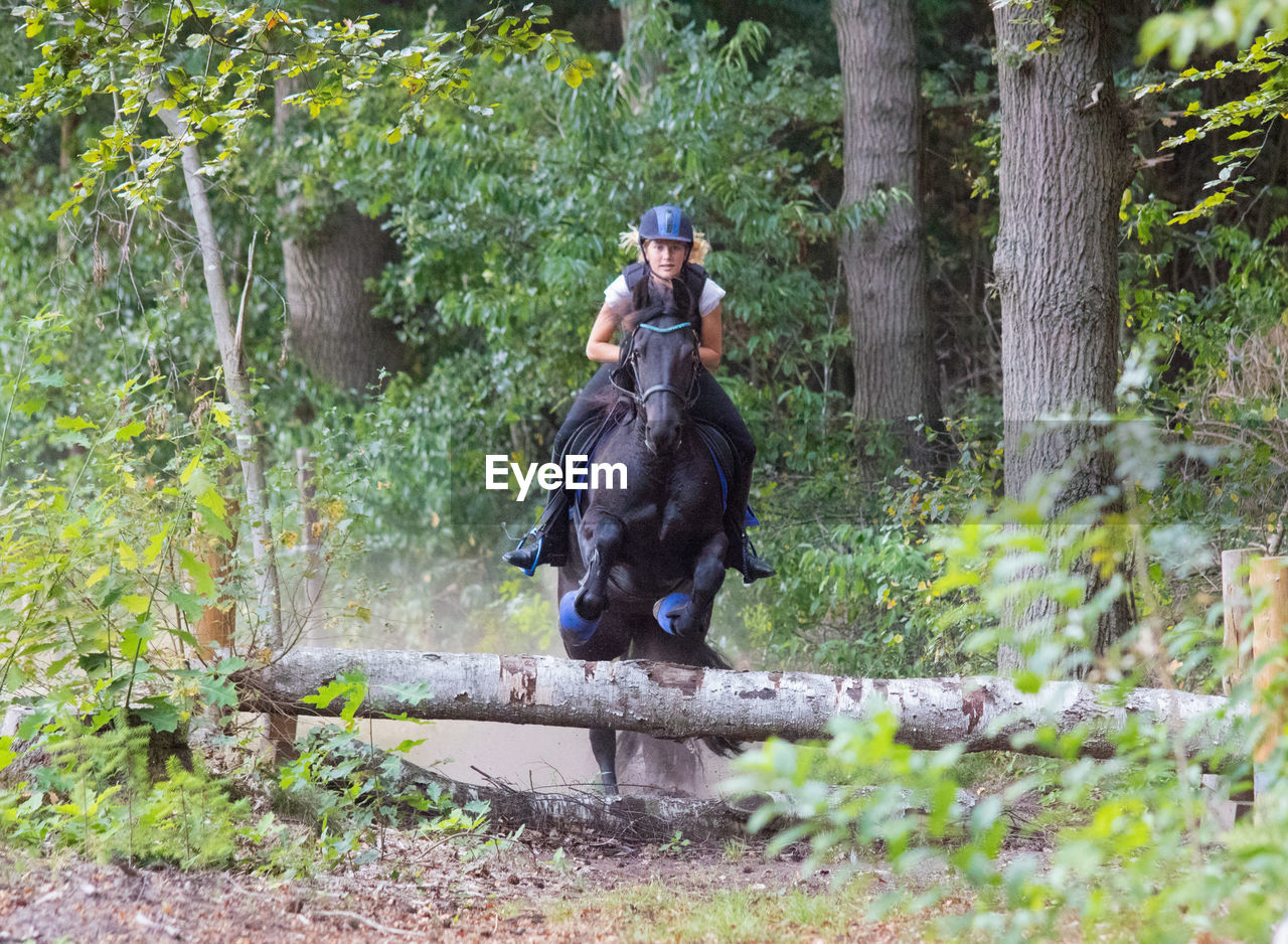 Jockey riding horse against trees in forest during training