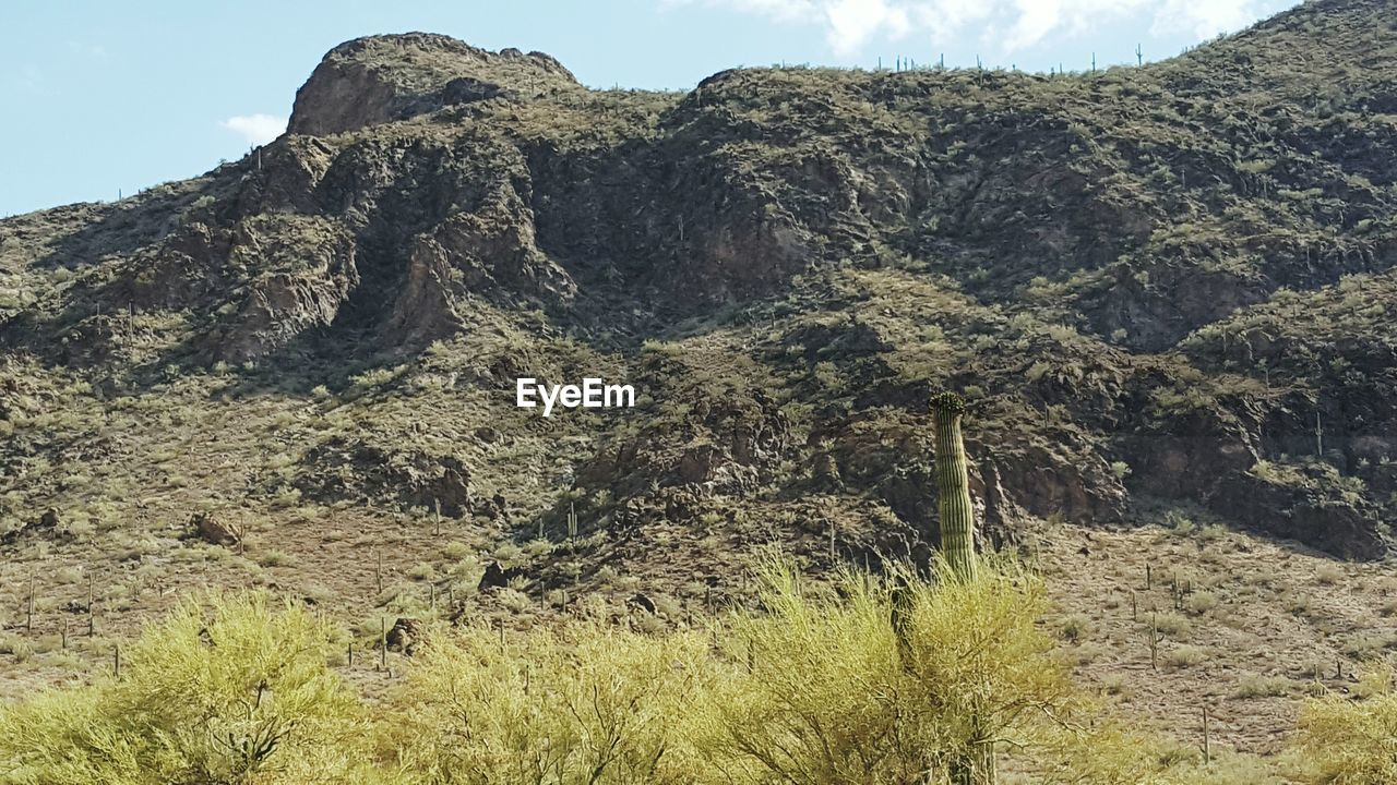 SCENIC VIEW OF ROCKY MOUNTAINS