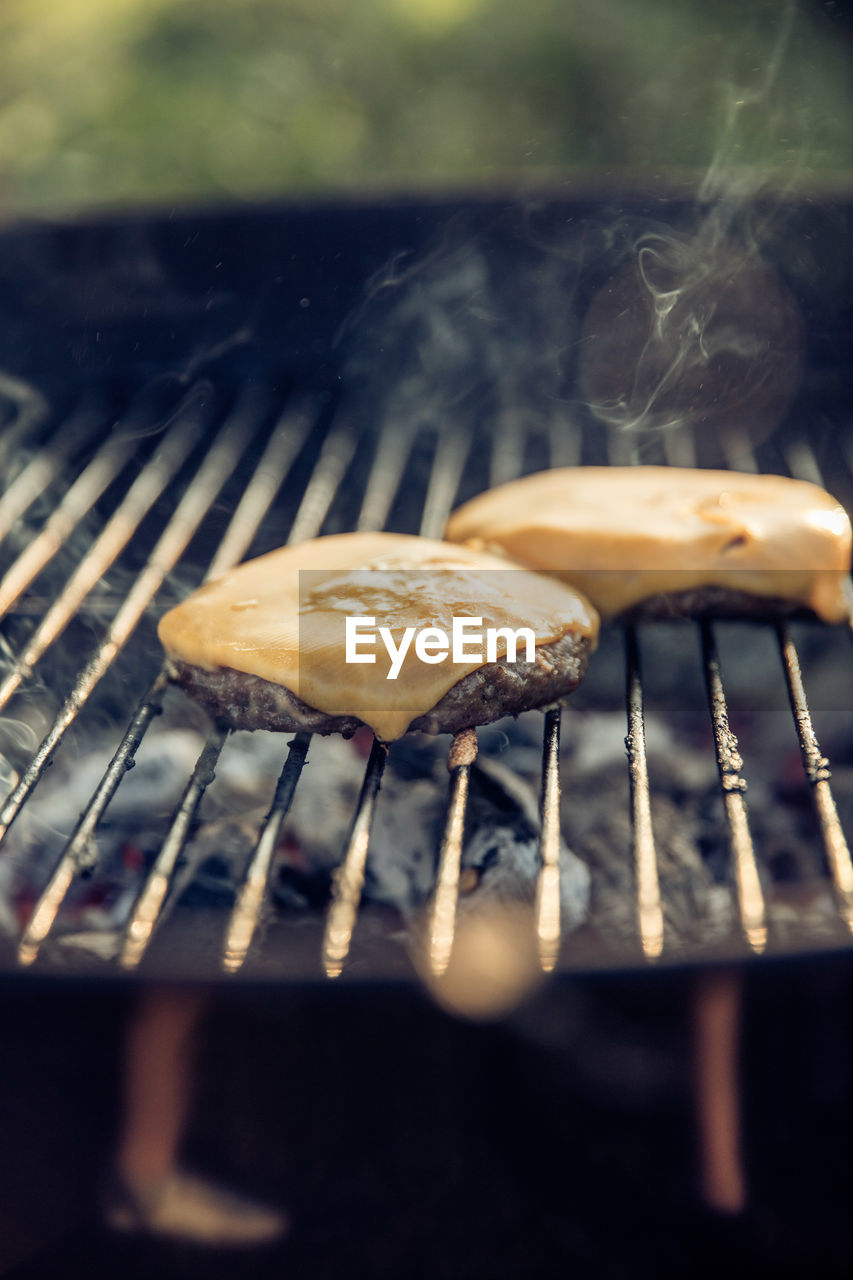 CLOSE-UP OF MUSHROOM GROWING ON BARBECUE