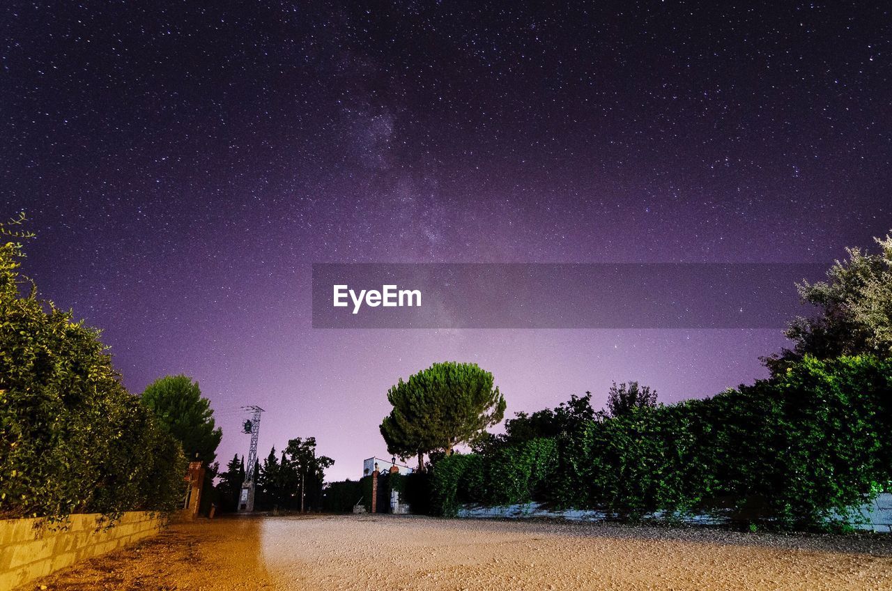 Trees on field against star field at night