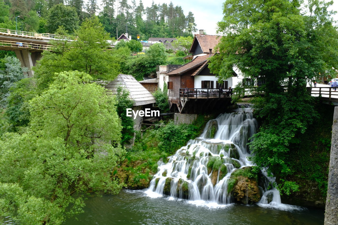 Scenic view of waterfall by trees and plants