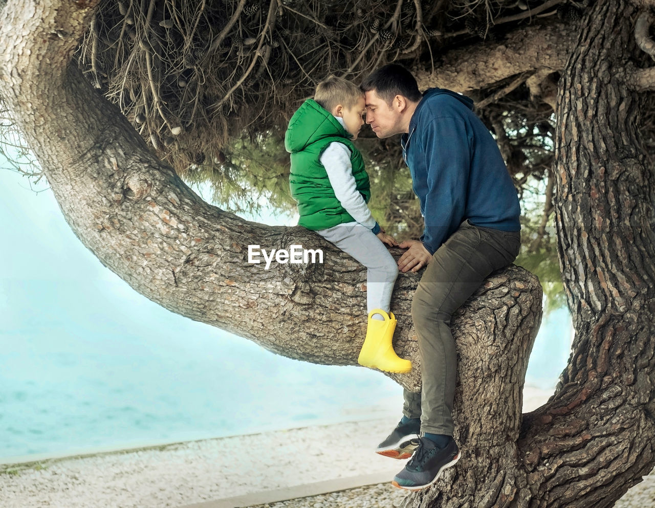 Happy childhood, father and son sit on tree in sunny day. smiling happiness family on sea coastline.