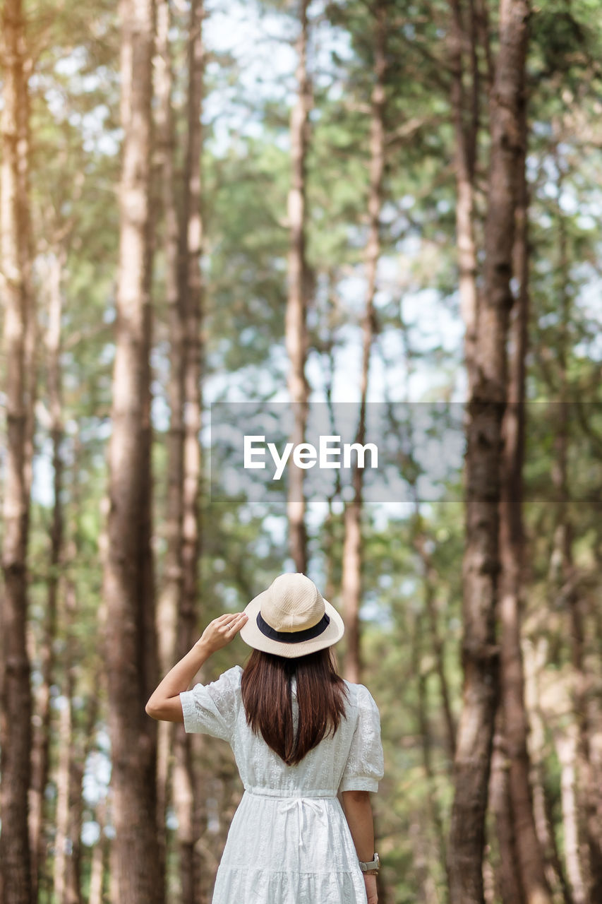 REAR VIEW OF WOMAN STANDING AGAINST TREES