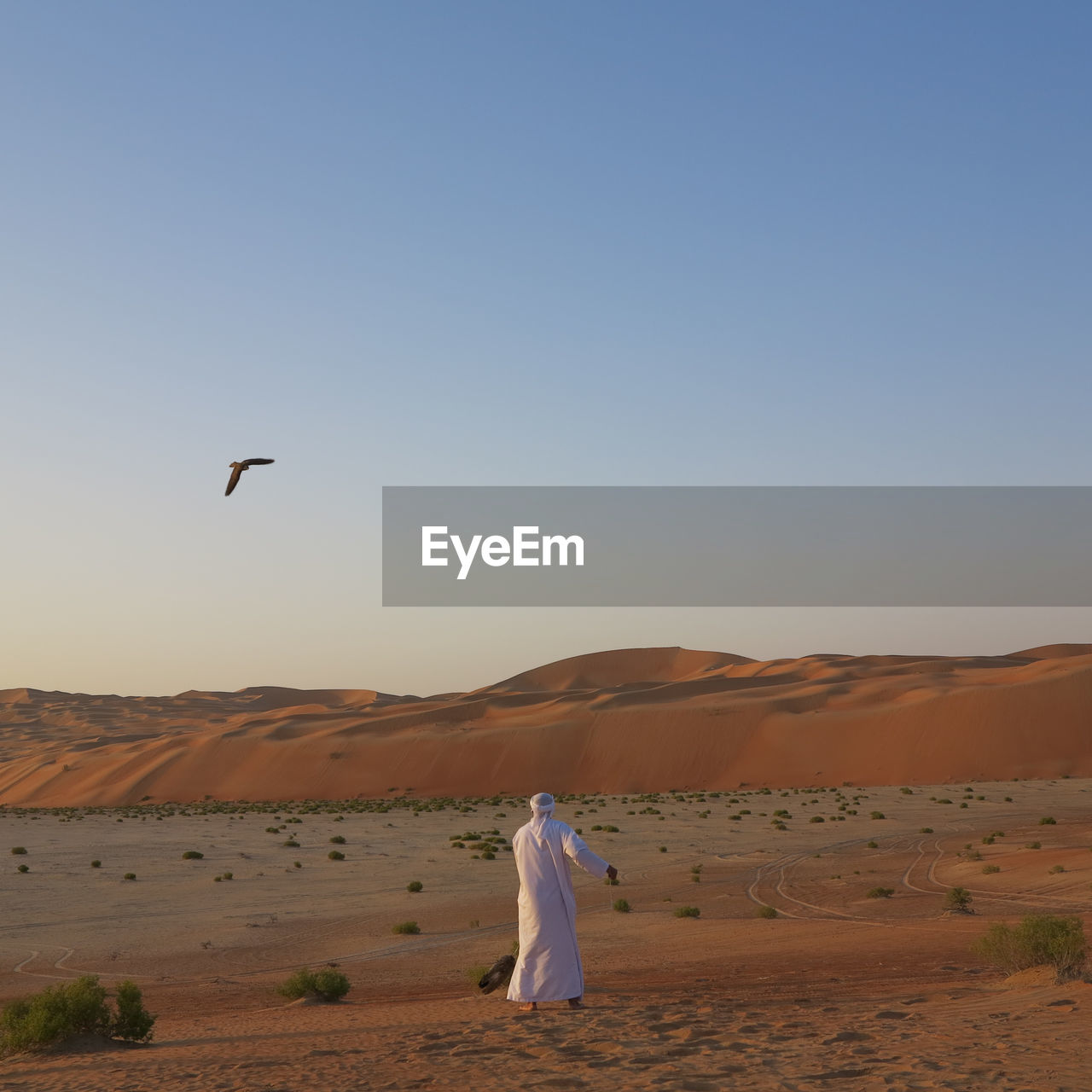 VIEW OF A BIRD FLYING OVER DESERT