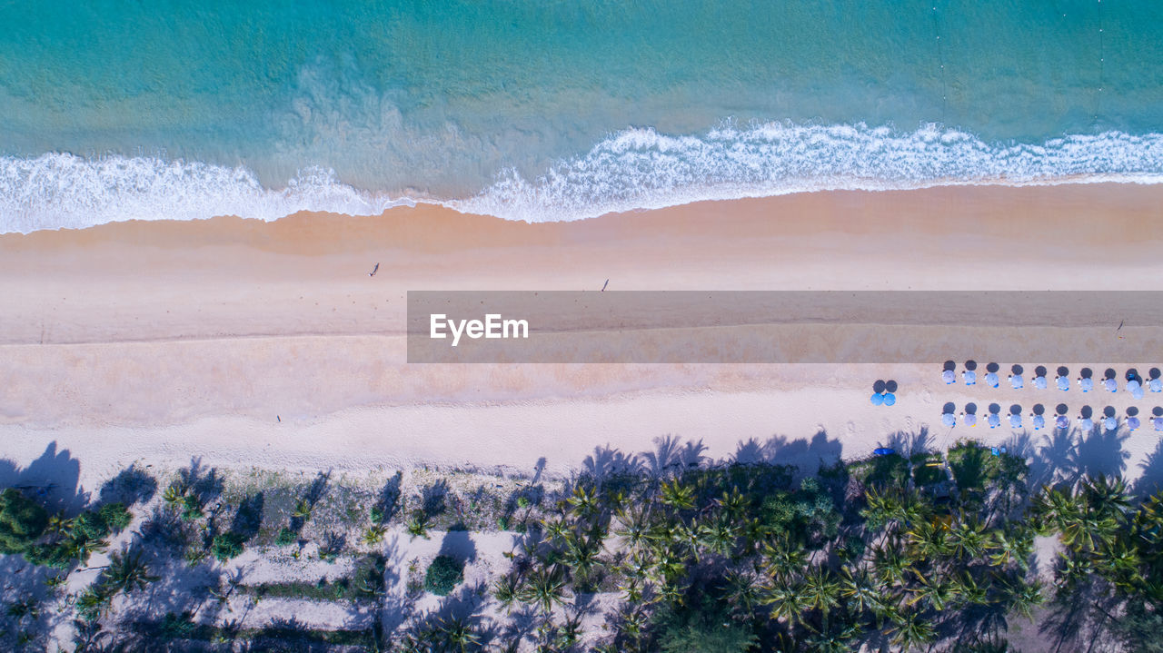 Aerial view top down of coconut palm trees on the beautiful karon beach phuket thailand amazing sea