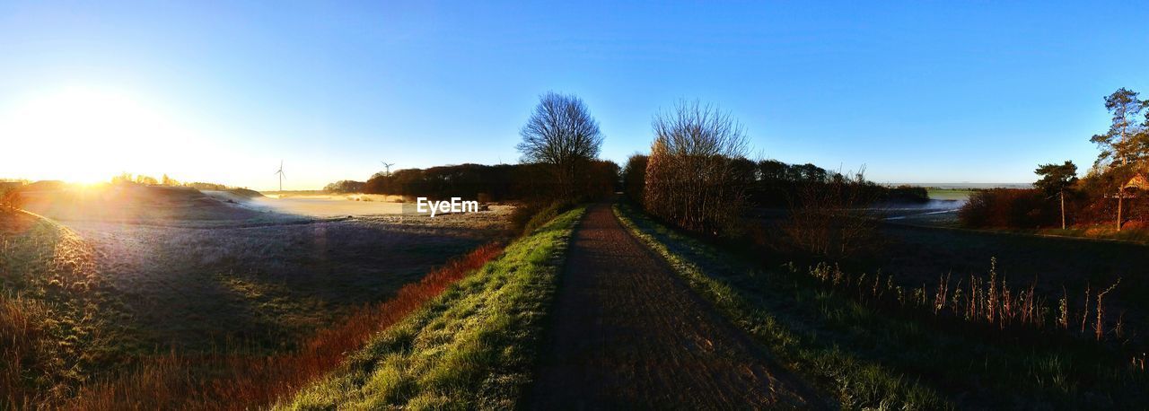 PANORAMIC VIEW OF TREES ON SUNNY DAY