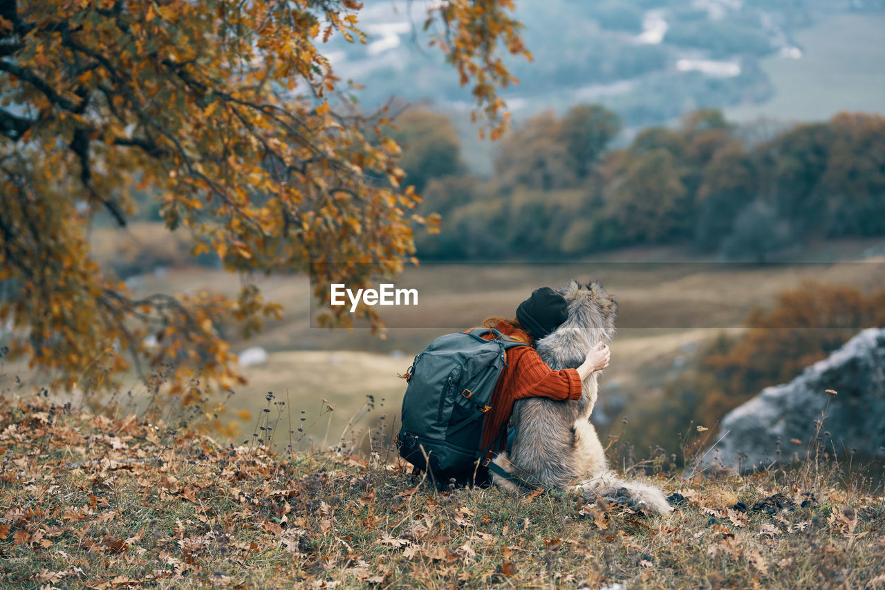 VIEW OF DOG ON FIELD