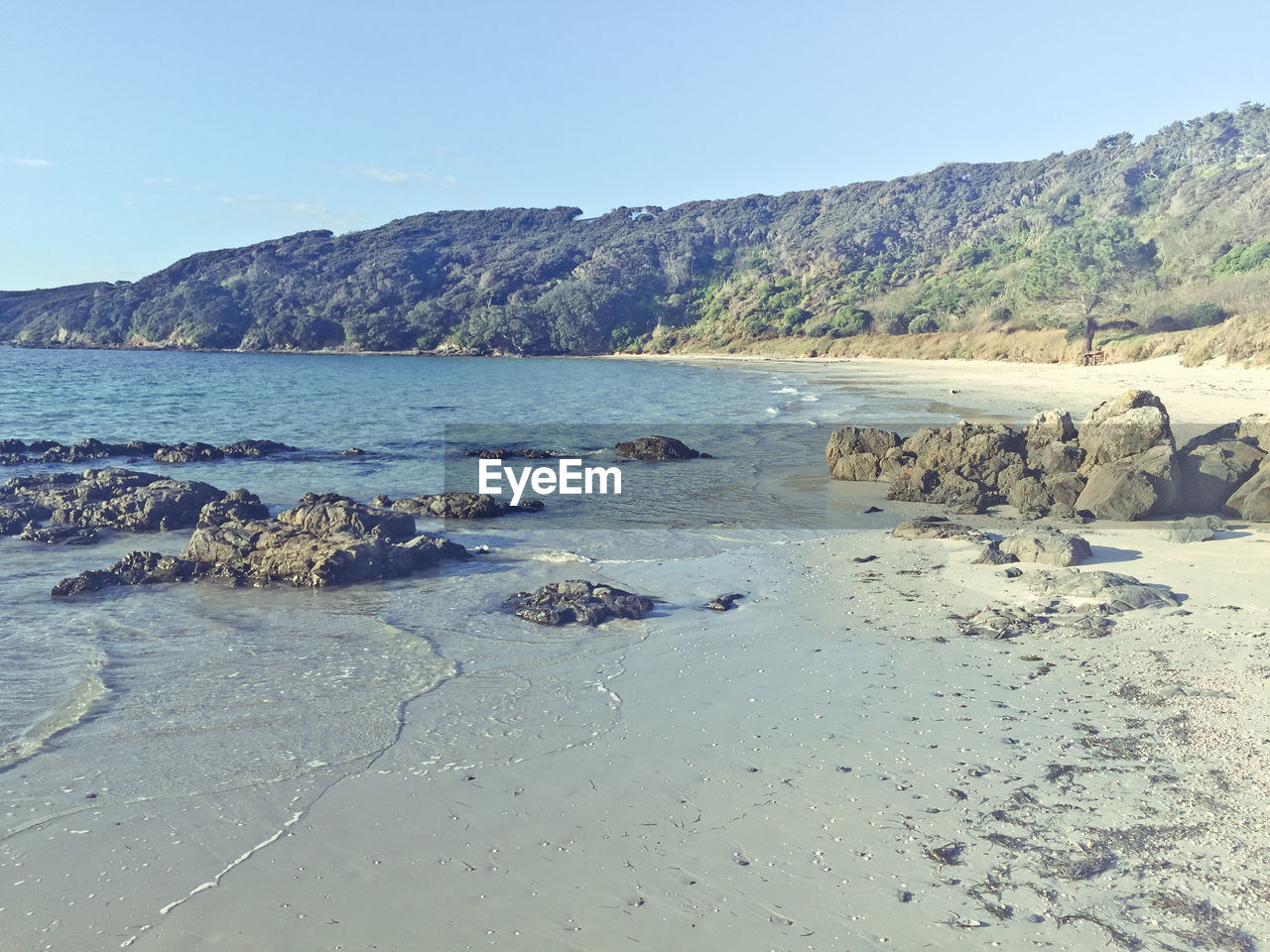 Scenic view of beach