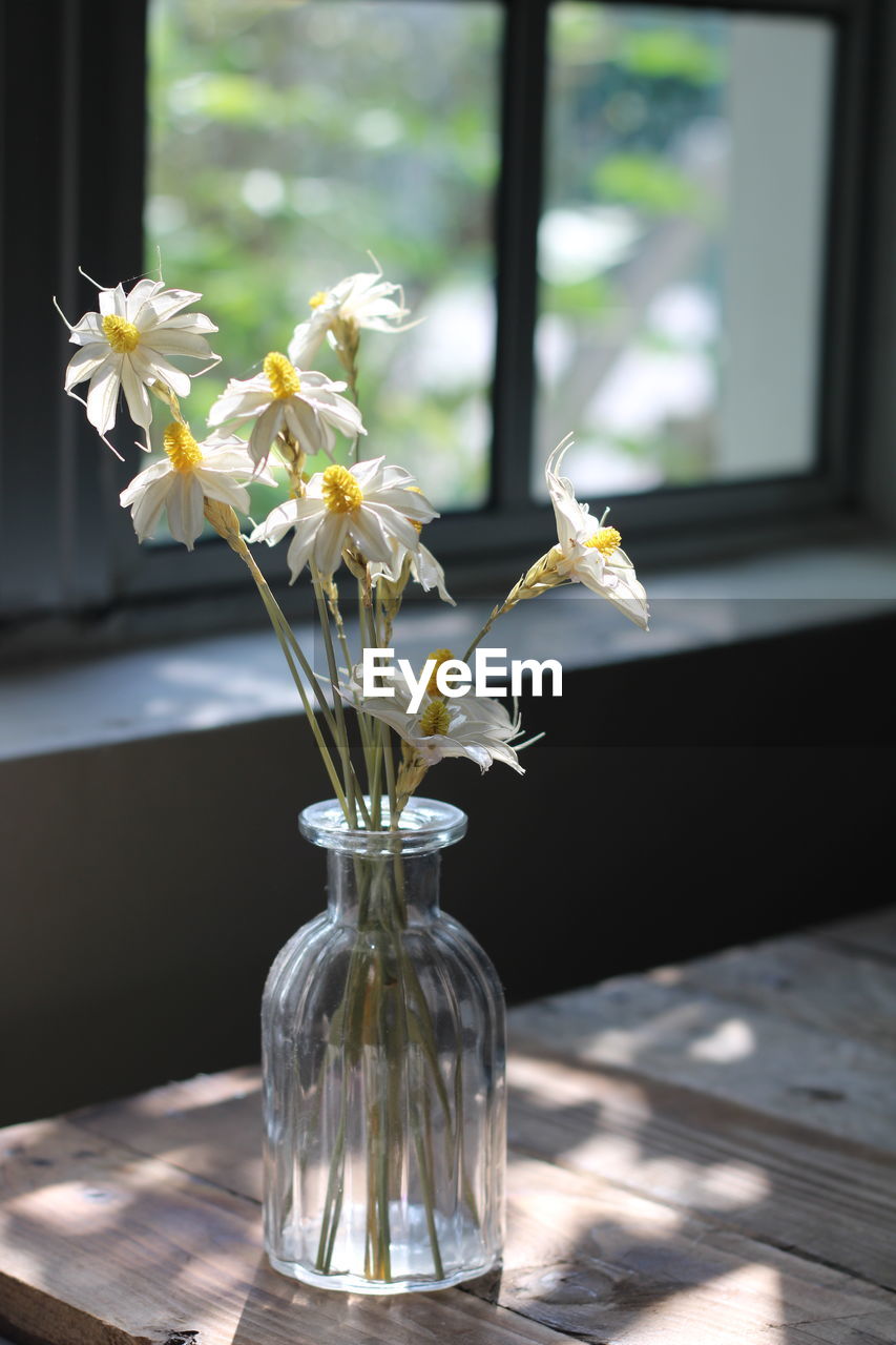 WHITE FLOWER IN VASE ON TABLE