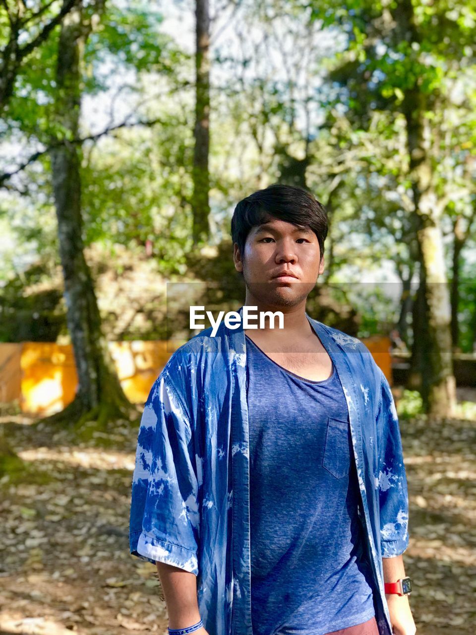 Portrait of young man standing against trees in forest