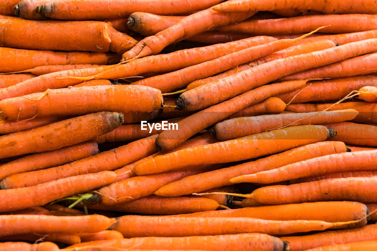 Carrots at a farmers market