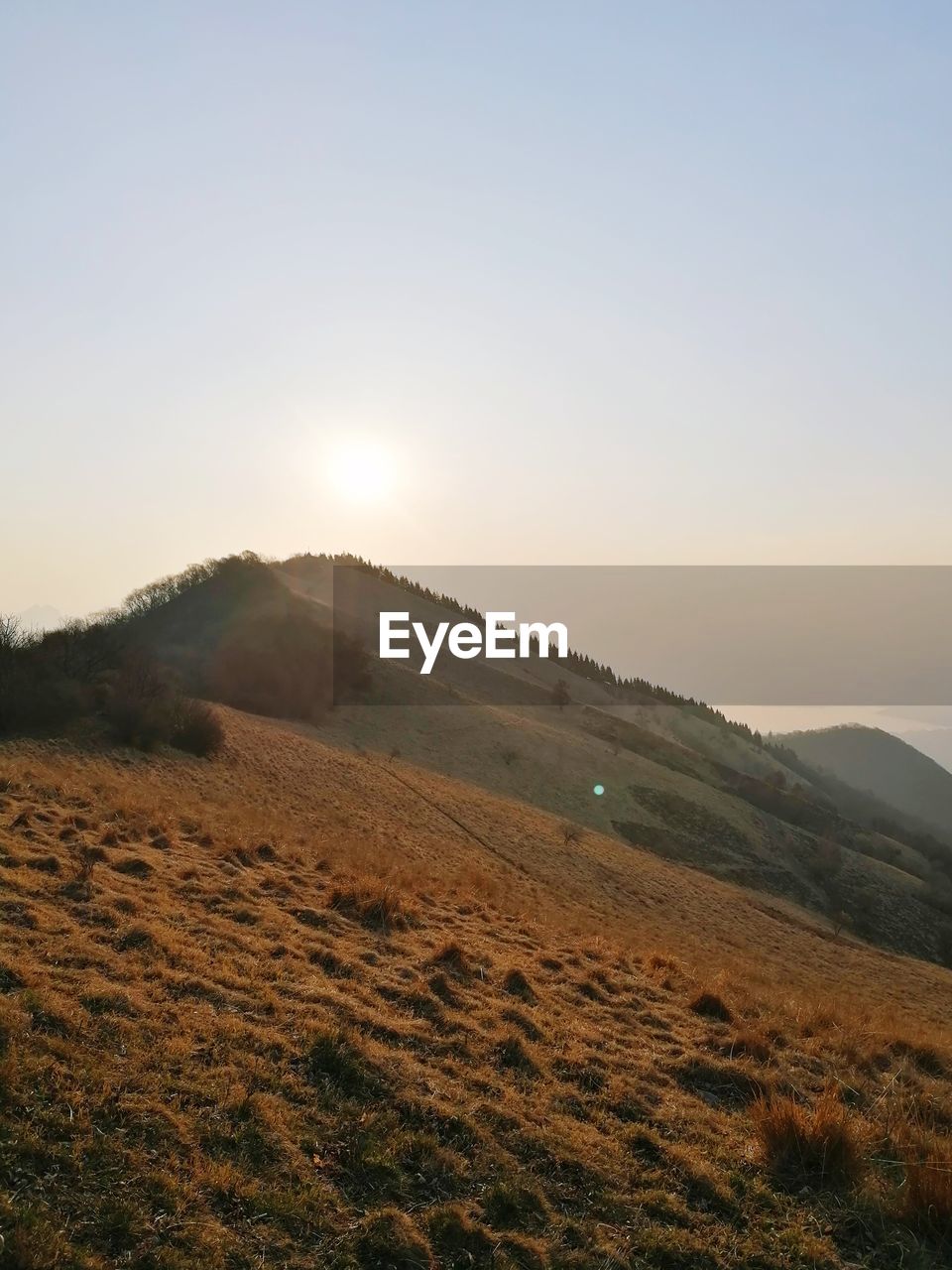 Scenic view of landscape against clear sky