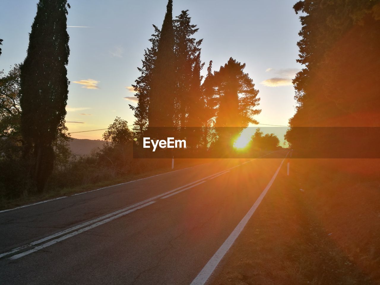 ROAD BY TREES AGAINST ORANGE SKY