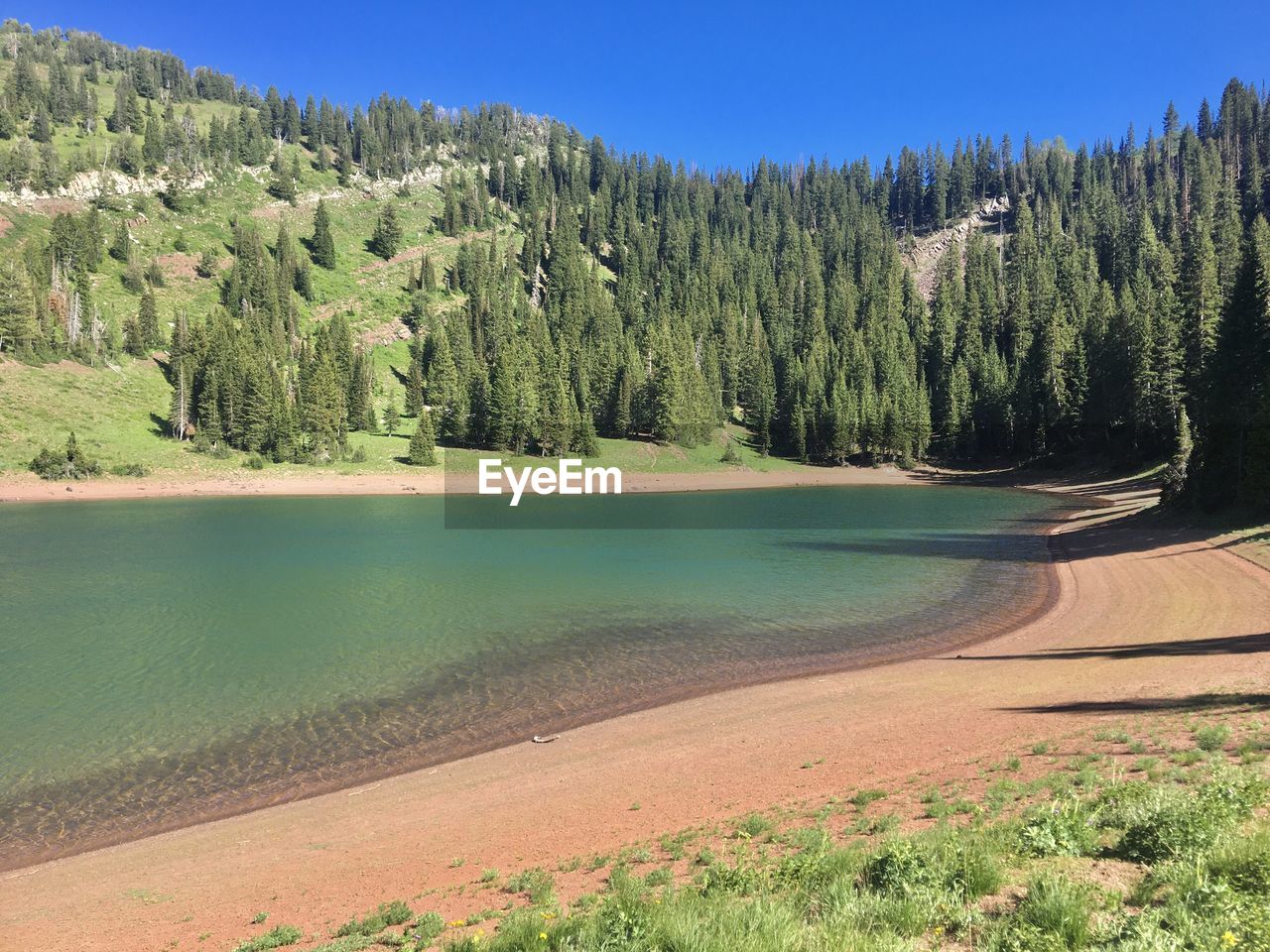 SCENIC VIEW OF LAKE AMIDST TREES AGAINST SKY