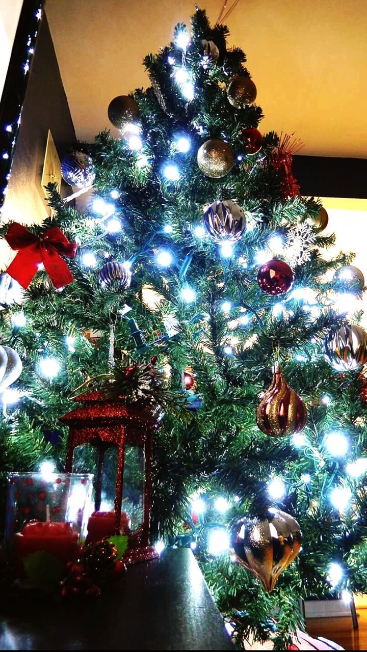 LOW ANGLE VIEW OF ILLUMINATED CHRISTMAS TREE AT NIGHT
