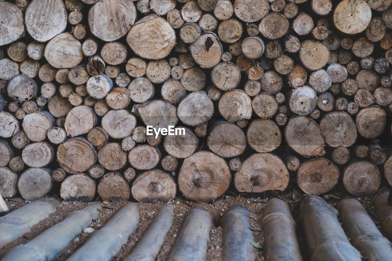 STACK OF LOGS IN FOREST