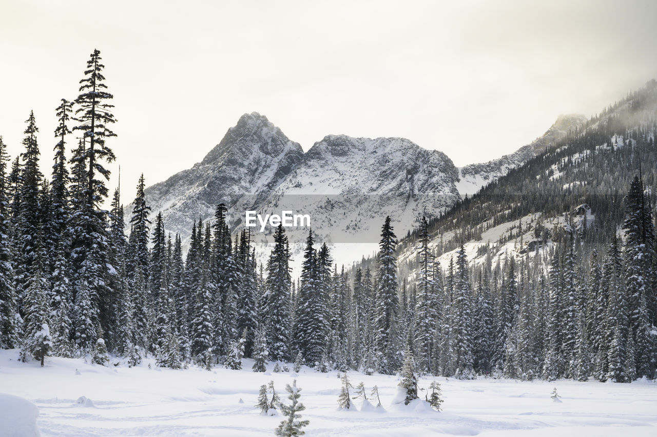 Snow covered mountains in the north cascades
