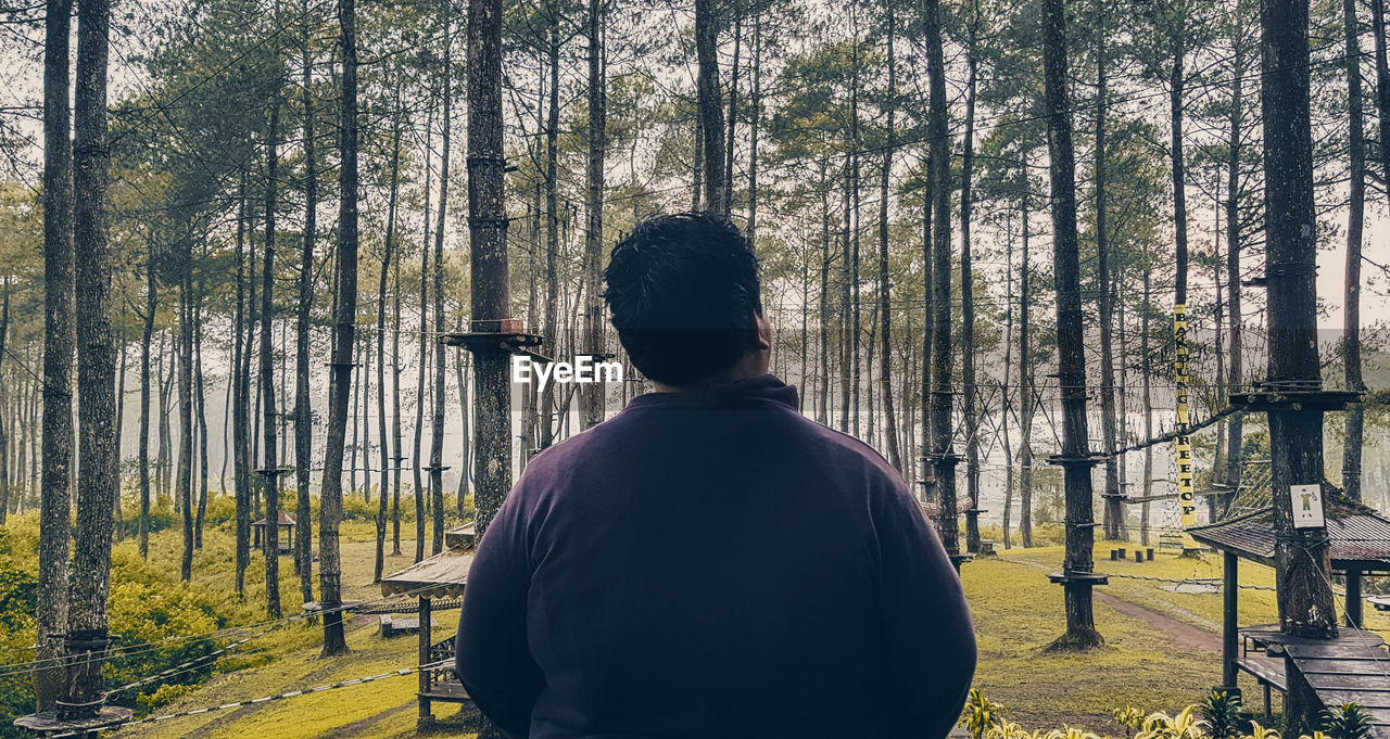 REAR VIEW OF MAN STANDING BY TREE TRUNKS IN FOREST