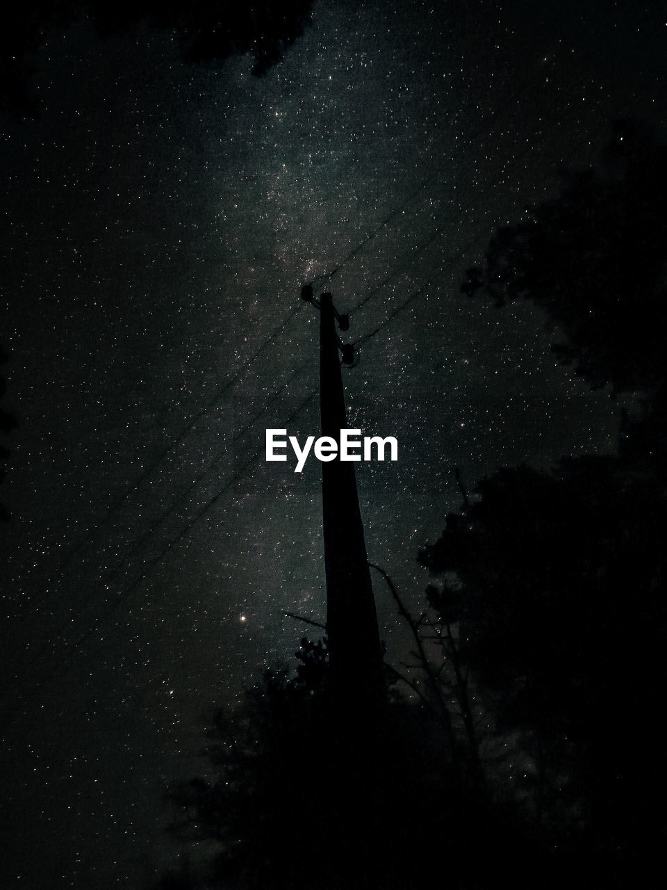 Low angle view of silhouette trees against sky at night