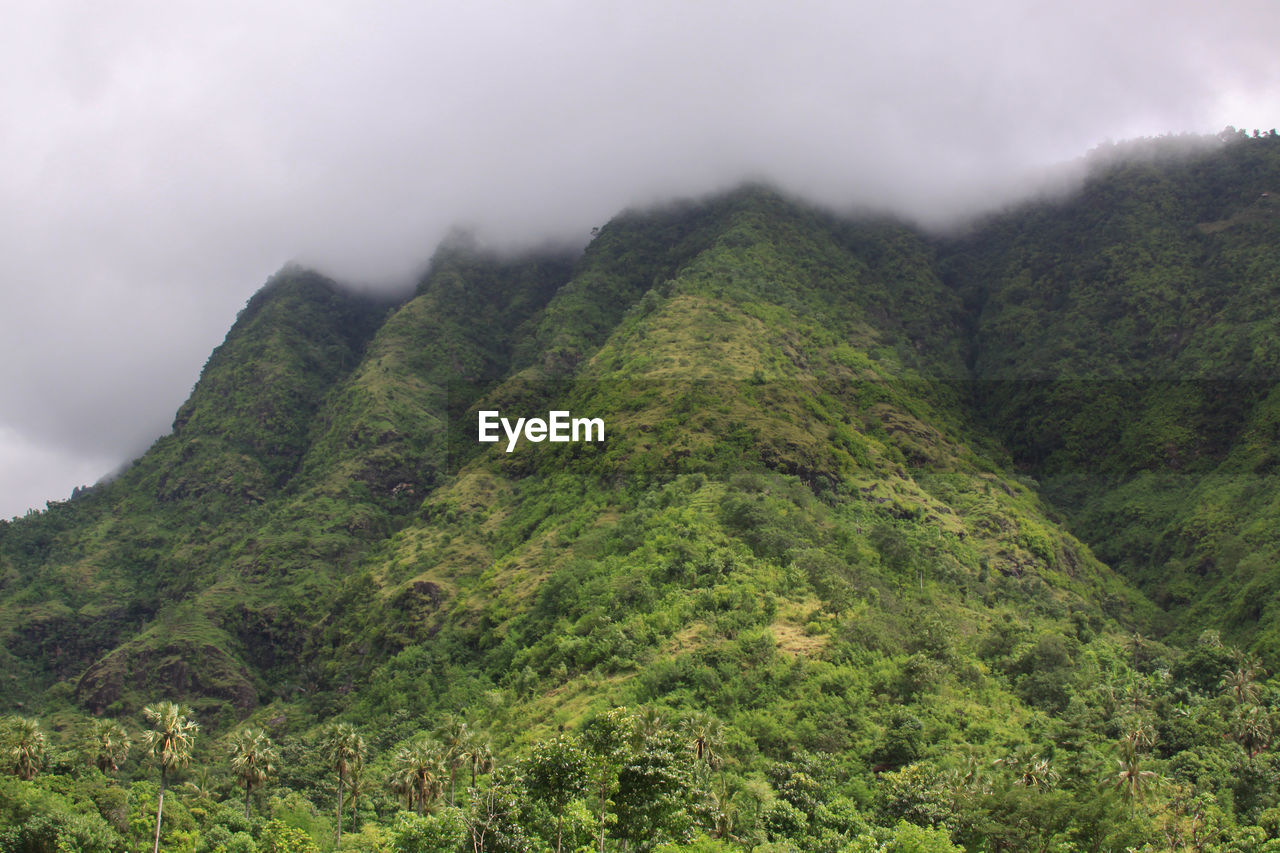 SCENIC VIEW OF MOUNTAIN AGAINST SKY