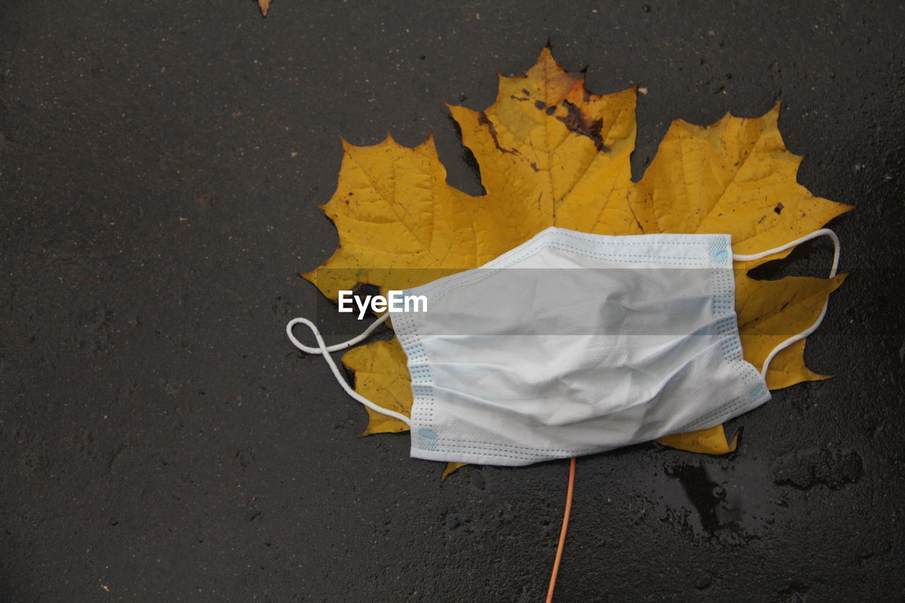 High angle view of yellow umbrella on road