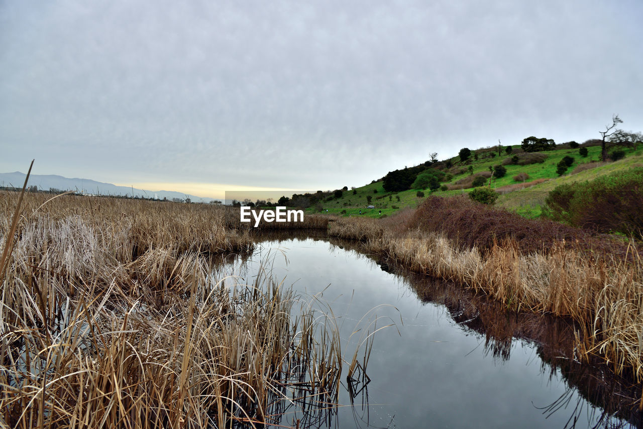 SCENIC VIEW OF LAKE